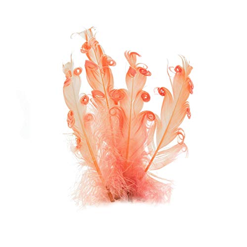 4 Gänsefedern lockig, 15-18cm, unterschiedliche Farben - DIY Deko Federn, Farbe:koralle von maDDma