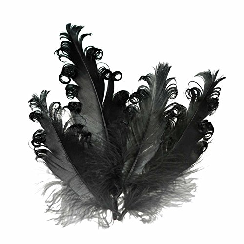 4 Gänsefedern lockig, 15-18cm, unterschiedliche Farben - DIY Deko Federn, Farbe:schwarz 4 Gänsefedern lockig, 15-18cm, unterschiedliche Farben - DIY Deko Federn, Farbe:schwarz von maDDma