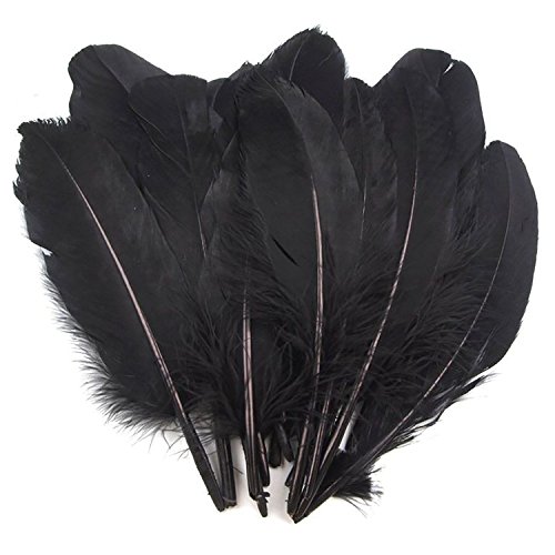 20 Enten-Federn 15-21cm Bastelfedern Federn f. Basteln Dekoration Hüte Kostüme, Farbe:schwarz von maDDma