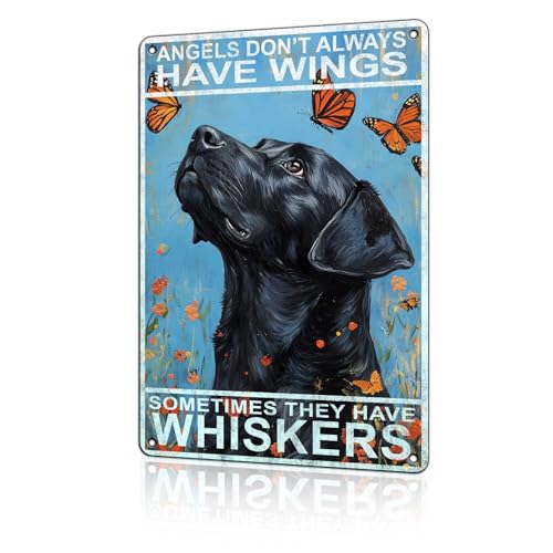 macago Metall-Blechschild mit englischem Labrador-Retriever-Motiv "Angels Don't Always Have Wings Sometimes They Have Whiskers", Metall-Blechschild, 20,3 x 30,5 cm von macago
