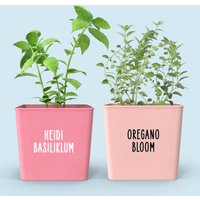 Pflanzen Aufkleber Für Blumentöpfe Mit Namen, Lustige Kräuter Sticker, Personalisiert, Geschenk Pflanzenfreunde, Balkon Deko von madebygretelz