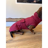 Dackel Herbstmantel von madebyroswi