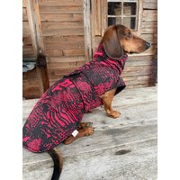 Dackel Herbstmantel von madebyroswi