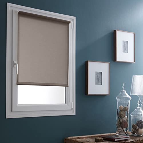 Fensterrollo, lichtdurchlässig, ohne Bohren – Spitzmaus – L 56 x H 170 cm von MADECOSTORE