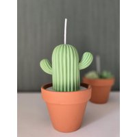Kaktus-Kerze Im Terrakottatopf - Niedliche Deko, Geschenkidee Für Pflanzenliebhaber Kaktus-Kerze Im Terrakottatopf - Niedliche Deko, Geschenkidee Für Pflanzenliebhaber von madeitforuuu