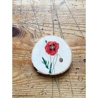 Klatschmohn Auf Birke Als Wandbild von madevaholzliebe