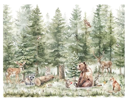 Fototapete Kinderzimmer, Wald, Waldtiere Bäume, Tapeten für Kinder Babyzimmer Vlies Tapeten wandtapete Mädchen und Jungen. Tapete nach Maß 1m2 Fototapete Kinderzimmer, Wald, Waldtiere Bäume, Tapeten für Kinder Babyzimmer Vlies Tapeten wandtapete Mädchen und Jungen. Tapete nach Maß 1m2 von madras24