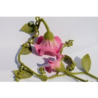 2Er Set Filz Blüten Mit Girlande Als Fensterdeko in Handmade Gefilzte Dekoration Für Die Wohnung von mafiz