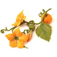Kürbis Girlande Mit Blüten, Eine Besonders Schöne Dekoration Für Den Jahreszeitentisch Herbst Oder Der Herbstlichen von mafiz
