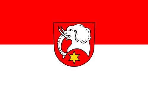 magFlags Flagge: Large Deggingen | Querformat Fahne | 1.35m² | 90x150cm » Fahne 100% Made in Germany von magFlags