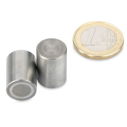 magnets4you - AlNiCo-Stabgreifer | Ø 10x16 mm | Haftkraft ca. 900 g | Stahlpassung mit Toleranz h6 | Extrem Hitzebeständig bis zu 450°C von magnet-shop