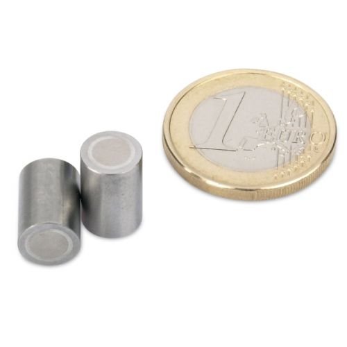 magnets4you - AlNiCo-Stabgreifer | Ø 6x10 mm | Haftkraft ca. 200 g | Stahlpassung mit Toleranz h6 | Extrem Hitzebeständig bis zu 450°C von The Magnet Shop
