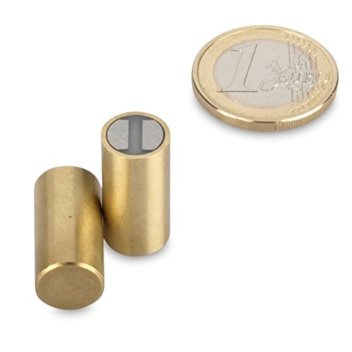 magnets4you Stabgreifer Magnet Ø 10 x 20 mm Messinggreifer mit Passung: h6 | Haftkraft: 4,1kg | Samarium-Cobalt-Magnet (SmCo) Toleranz h6 max. Temperatur 200°C anisotrop von magnets4you