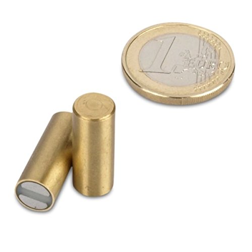 magnets4you Stabgreifer Magnet Ø 8 x 20 mm Messinggreifer mit Passung: h6 | Haftkraft: 2,2kg | Samarium-Cobalt-Magnet (SmCo) Toleranz h6 max. Temperatur 200°C anisotrop von magnets4you