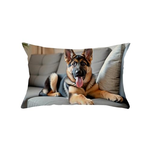 Kissenbezug 40X60 Buch Skelett Dekokissen Sofakissen Kurzer Plüsch Zierkissenbezug Mit Unsichtbarer Reißverschluss,Waschbare Langlebig Outdoor Kissen,Deko Kissenhüllen Wohnzimmer Kissenbezug 40X60 Buch Skelett Dekokissen Sofakissen Kurzer Plüsch Zierkissenbezug Mit Unsichtbarer Reißverschluss,Waschbare Langlebig Outdoor Kissen,Deko Kissenhüllen Wohnzimmer von malxlaw