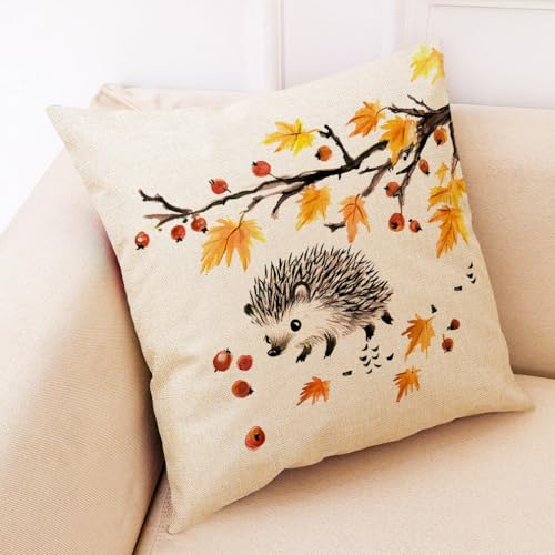 Kissenbezug 50X50 Grauer Igel Dekokissen Sofakissen Leinen Kissenbezüge Mit Unsichtbarer Reißverschluss,Waschbare Langlebig Outdoor Kissen,Deko Kissenhüllen Wohnzimmer von malxlaw