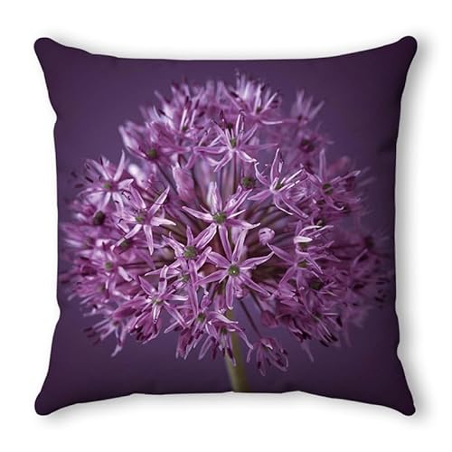 Kissenbezug 50X50 Lila Dekokissen Sofakissen Samt, Kurzer Plüsch Zierkissenbezug Mit Unsichtbarer Reißverschluss,Waschbare Langlebig Outdoor Kissen,Deko Kissenhüllen Wohnzimmer Kissenbezug 50X50 Lila Dekokissen Sofakissen Samt, Kurzer Plüsch Zierkissenbezug Mit Unsichtbarer Reißverschluss,Waschbare Langlebig Outdoor Kissen,Deko Kissenhüllen Wohnzimmer von malxlaw