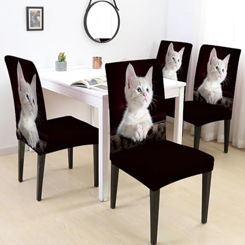 Stuhlhussen 2er Set Schwarze Weiße Katze Stuhlbezug Stretch Stuhlhussen Für Esszimmerstühle Waschbarer Polyester Hussen Für Stühle Universal, Abnehmbarer Stühle Schutz Dekoration Stuhlüberzüge von malxlaw