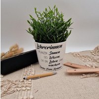Blumentopf Lehrer(In Abschied Geschenk | Blumenübertopf Mi Namen Personalisierter Mit Spruch Blumentopf Lehrer(In Abschied Geschenk | Blumenübertopf Mi Namen Personalisierter Mit Spruch von mamicoshop