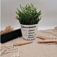 Blumentopf Lehrer(In Abschied Geschenk | Blumenübertopf Mi Namen Personalisierter Mit Spruch von mamicoshop
