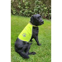 Warnweste Hund Personalisiert | Hundewarnweste Mit Reflektion Haustierschutz Namen Warnweste Hund Personalisiert | Hundewarnweste Mit Reflektion Haustierschutz Namen von mamicoshop