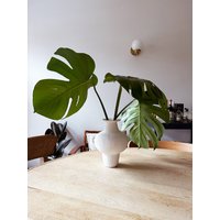 Milo Vase // Handgemachte Keramikvase von mammothandminnow