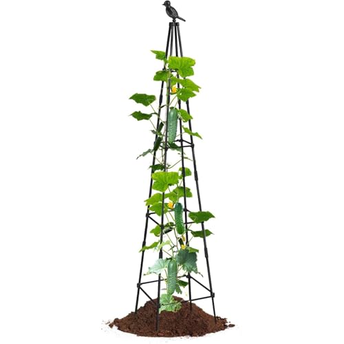 manhegari Rankgitter Für Kletterpflanzen Outdoor - Spalier | Metall Höhenverstellbarer Vogelschutz Gartenelement Mit Vogelkopf Für Garten Blumen Weinreben Erbsen Gurken manhegari Rankgitter Für Kletterpflanzen Outdoor - Spalier | Metall Höhenverstellbarer Vogelschutz Gartenelement Mit Vogelkopf Für Garten Blumen Weinreben Erbsen Gurken von manhegari