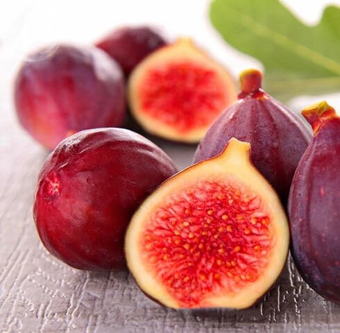 100 x rote Ficus Caric Fruchtsamen von maramvenk