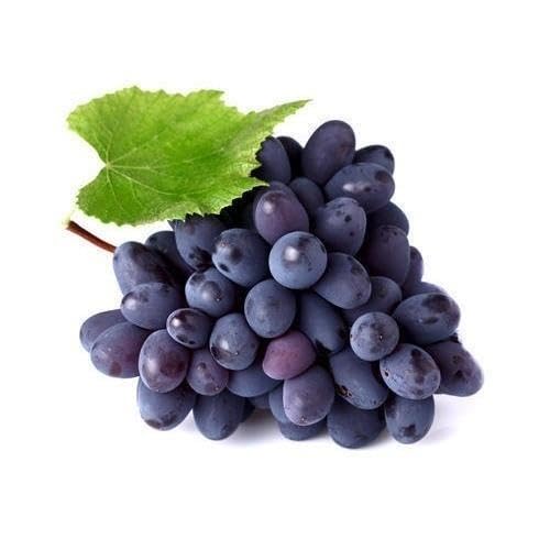 30 x schwarze Traubenfruchtsamen von maramvenk