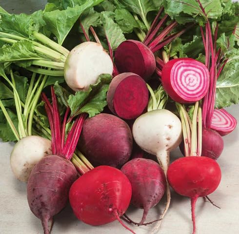 70 x gemischte Rote-Bete-Gemüsesamen von maramvenk