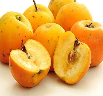 Frische Apfelfruchtsamen 40 Stück schwarz von maramvenk