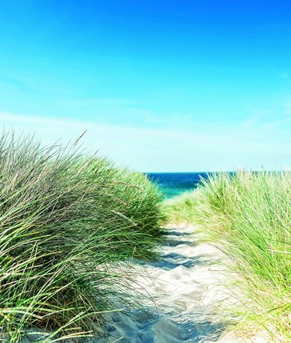 Fototapete Strand Sand Natur XXL Blau Grün Modern Design Tapete Vliestapete für Wohnzimmer Schlafzimmer Made in Germany 2,5 x 2,12m Fototapete Strand Sand Natur XXL Blau Grün Modern Design Tapete Vliestapete für Wohnzimmer Schlafzimmer Made in Germany 2,5 x 2,12m von marburg