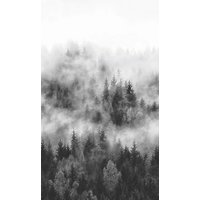 marburg Vliestapete »Smart Art Easy«, Wald, Nebel, grau von marburg