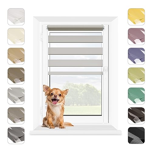 MARDOM Doppelrollo - Rollos für Fenster Ohne Bohren - Duo Rollo Tag und Nacht - Rollo Ohne Bohren - Doppelrollo Klemmfix, Fensterrollo Innen (Grau, 60x215 cm (Stoffbreite: 56)) von mardom HOME