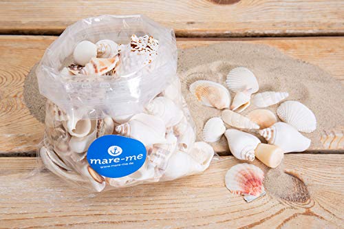 mare-me Deko Muschelmix weiß 1kg von mare-me