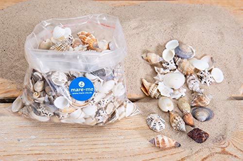 mare-me Dekoration Muschelmix bunt, 250gr von mare-me