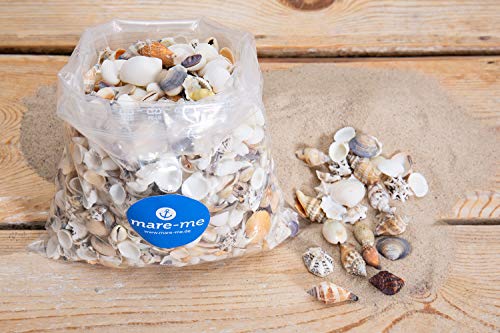mare-me Dekoration Muscheln mittelgroß 1kg von mare-me