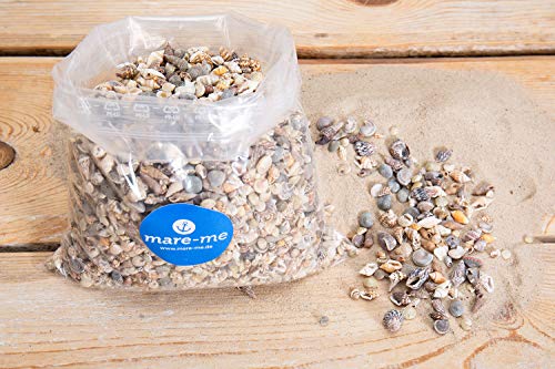 mare-me Muschelmix Deko klein 1kg von mare-me