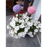 Silikonform Große Allium , Zierlauch.... Endlich Da... Gartenstecker Blütenkugel von mariasdekozauber