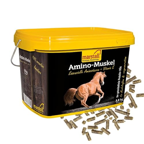 Marstall Amino-Muskel 10kg Eimer von marstall Premium-Pferdefutter