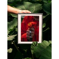 Fotografie Wandbild Poster Kunstdruck - Blumen Orange von marynellhertel