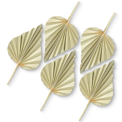 Getrocknete Palmen-Blätter im 5er Set - Natürliche Palmspeere in 11 - 13 cm für Basteln Boho Dekoration - Palm Spear Trocken-Pflanzen Trocken-Blumen als Vintage Dschungel Deko von matches21 HOME & HOBBY