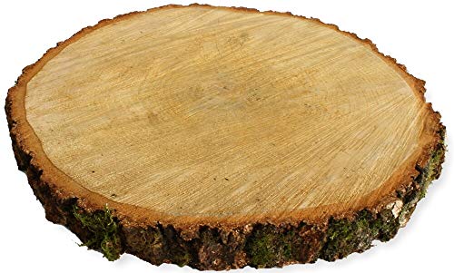 Große Holzscheibe zum Basteln oder Dekorieren - 1 Stück naturbelassene Baumscheibe aus Birkenholz mit 35 - 40 cm Durchmesser - runde Holz Birkenscheibe als Deko Holzplatte Holzdeko von matches21 HOME & HOBBY