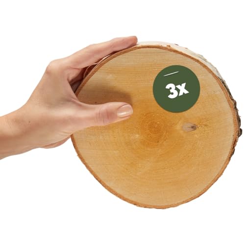 matches21 HOME & HOBBY Holzscheiben zum Basteln oder Dekorieren - 3 Stück naturbelassene Baum-scheiben mit 16-18 cm Durchmesser aus birken-Holz - runde Holz Birkenscheiben als Holzdeko Holzplatten von matches21 HOME & HOBBY