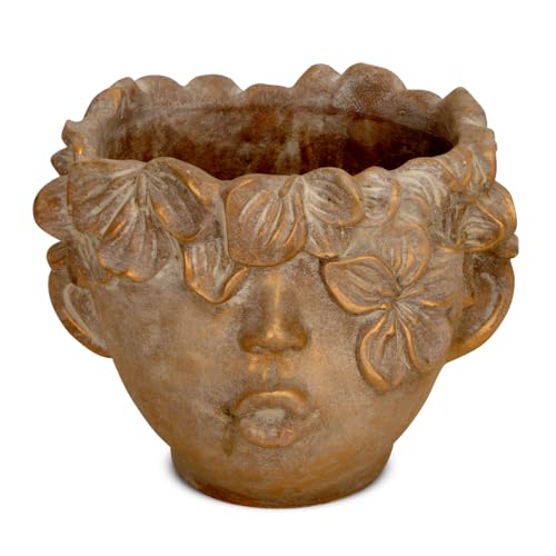 Hübscher Blumentopf Kopf mit Gesicht und Blumen-Krone braun gold - 20 x 17,5 cm Zement Pflanzkopf als Zimmerpflanzen Tisch-Deko - Pflanzentopf für die Haustür als Hauseingang Flur-Deko Hübscher Blumentopf Kopf mit Gesicht und Blumen-Krone braun gold - 20 x 17,5 cm Zement Pflanzkopf als Zimmerpflanzen Tisch-Deko - Pflanzentopf für die Haustür als Hauseingang Flur-Deko von matches21 HOME & HOBBY