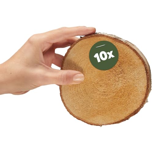 Kleine Holzscheiben zum Basteln oder Dekorieren - 10 Stück naturbelassene baum-scheiben mit 12cm - 14cm Durchmesser aus birken-holz - runde Holz Birkenscheiben als Holzdeko Holzplatten Kleine Holzscheiben zum Basteln oder Dekorieren - 10 Stück naturbelassene baum-scheiben mit 12cm - 14cm Durchmesser aus birken-holz - runde Holz Birkenscheiben als Holzdeko Holzplatten von matches21 HOME & HOBBY