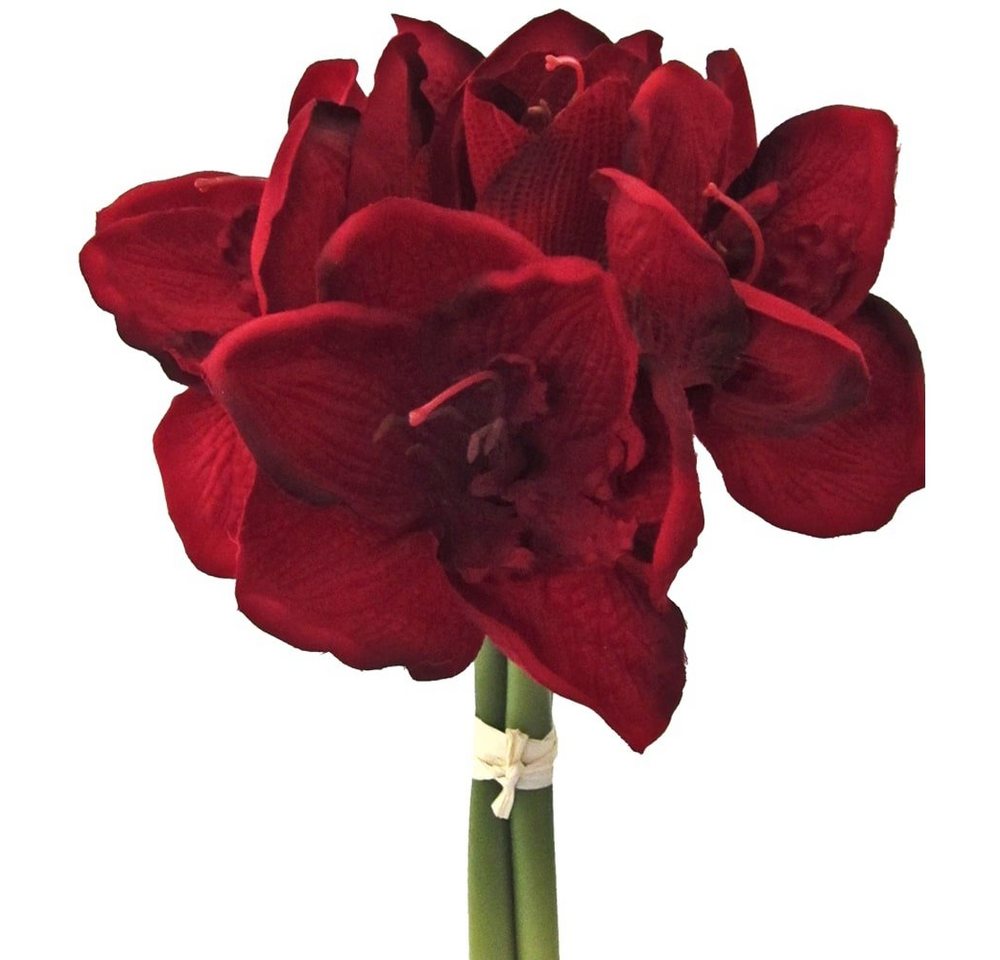 Kunstblume Amaryllis Kunstblume 3 Stiele 5 Blüten Ø 12 cm 1 Bund dunkelrot Amaryllis, matches21 HOME & HOBBY, Höhe 32 cm von matches21 HOME & HOBBY