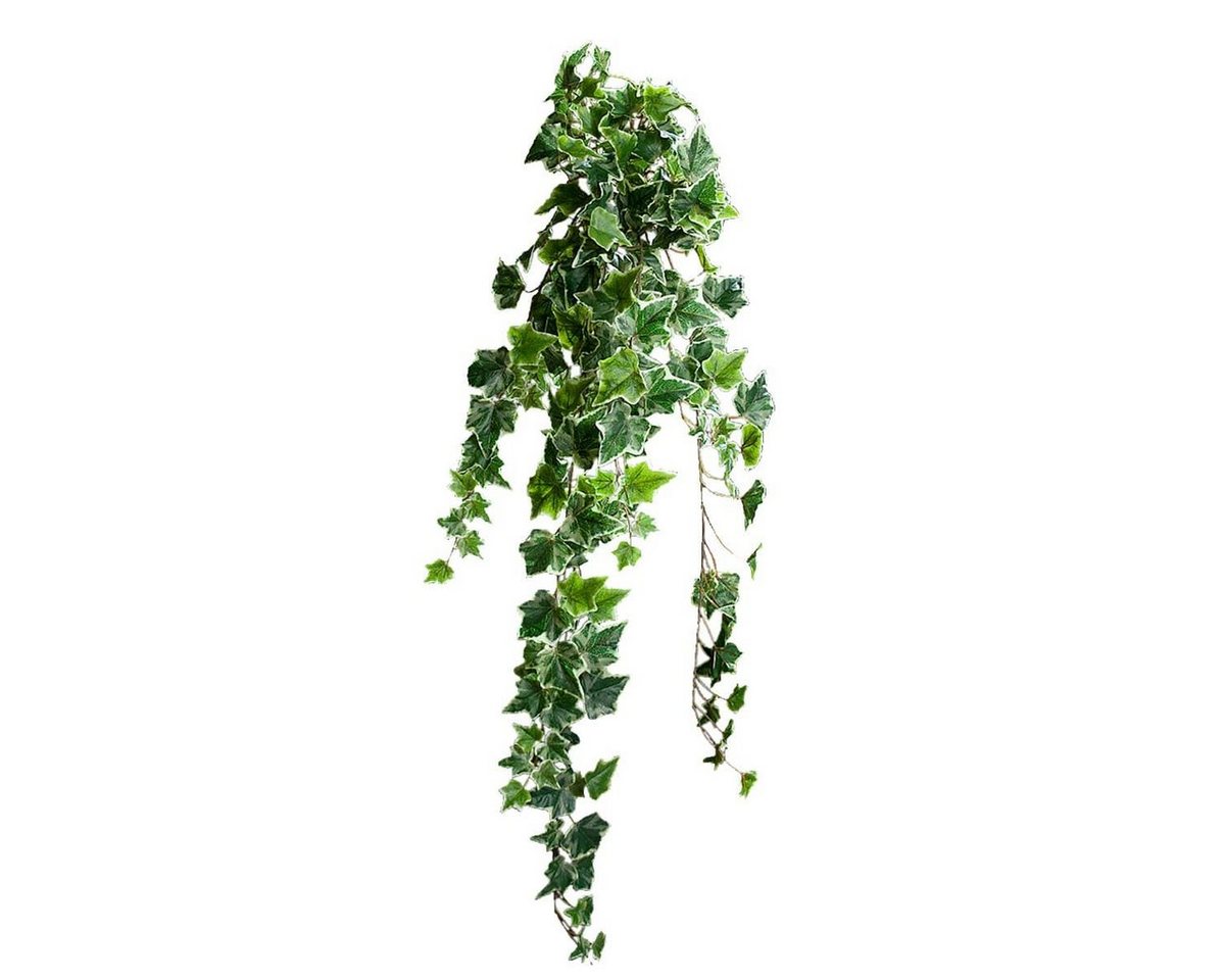 Kunstblume Efeu Ranken 80cm Kunstpflanzen in grün-weiß Efeu, matches21 HOME & HOBBY, Höhe 80 cm von matches21 HOME & HOBBY