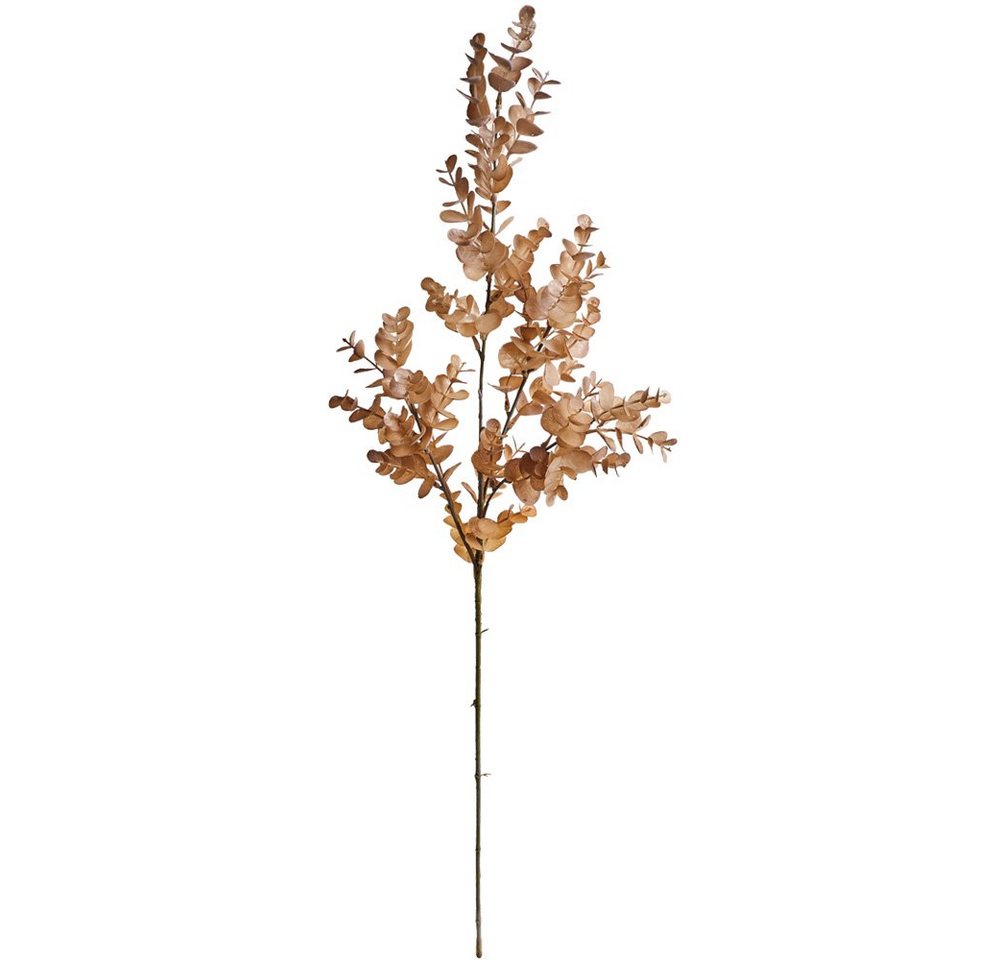 Kunstblume Eukalyptus Kunstpflanze Deko Naturdeko Länge 80 cm hellbraun Eukalyptus, matches21 HOME & HOBBY, Höhe 80 cm von matches21 HOME & HOBBY