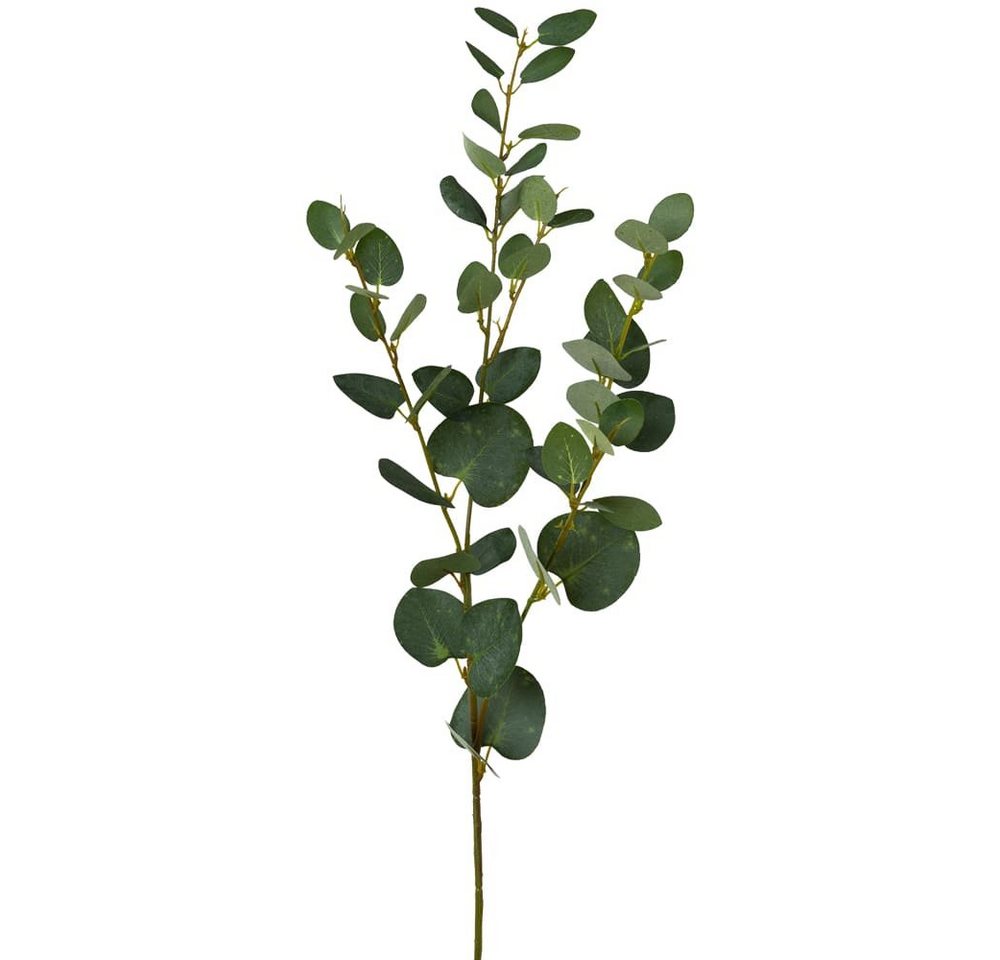 Kunstblume Eukalyptus Kunstpflanze Dekozweig Naturdeko Länge 79 cm grün Eukalyptus, matches21 HOME & HOBBY, Höhe 79 cm von matches21 HOME & HOBBY